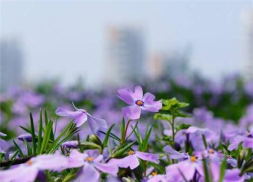 2019年个人创业干点啥好呢？（推荐这四大行业）