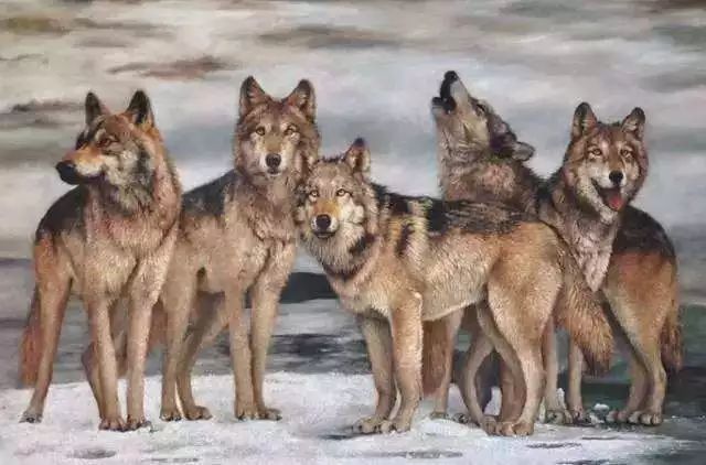 观察成千上万创业者后，总结出13条更加有效成功方法