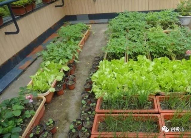 13个创业项目，比较靠谱，送给找不到创业项目的你！