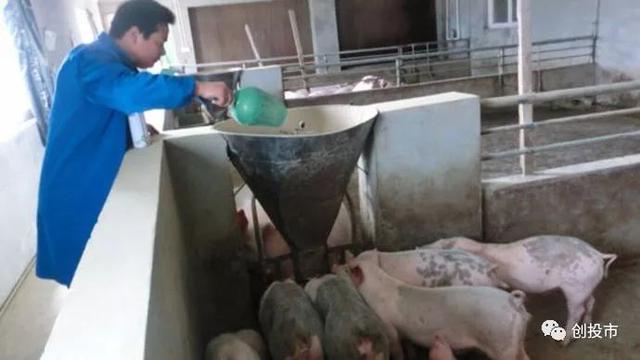 13个创业项目，比较靠谱，送给找不到创业项目的你！