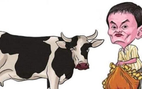 马云说创业赚钱最快的方法，分享马云的创业经验总结