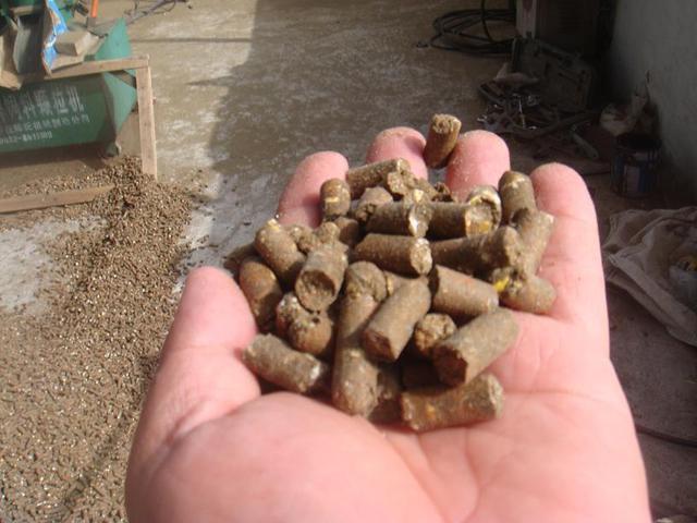 成本小收入高！适合城乡创业的10个致富项目