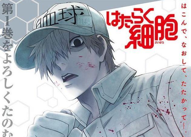 工作细胞：“血小板事件”的回顾和现状解读，宅男们确实无所不能