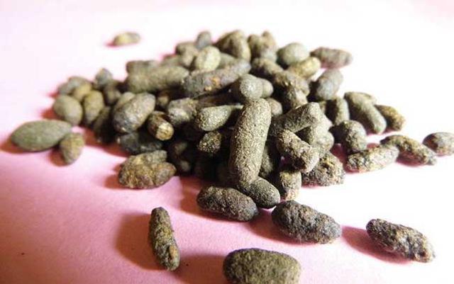 成本小收入高！适合城乡创业的10个致富项目