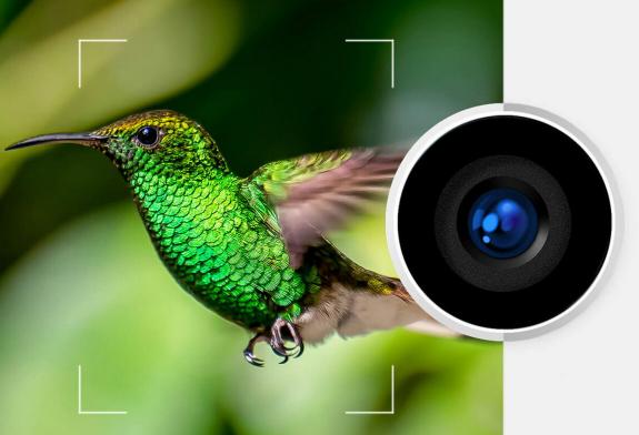 误删手机照片怎么恢复？最新手机照片恢复方法教程