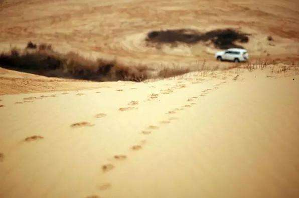 化妆品淘宝小卖家如何低成本从零起步到月赚2万