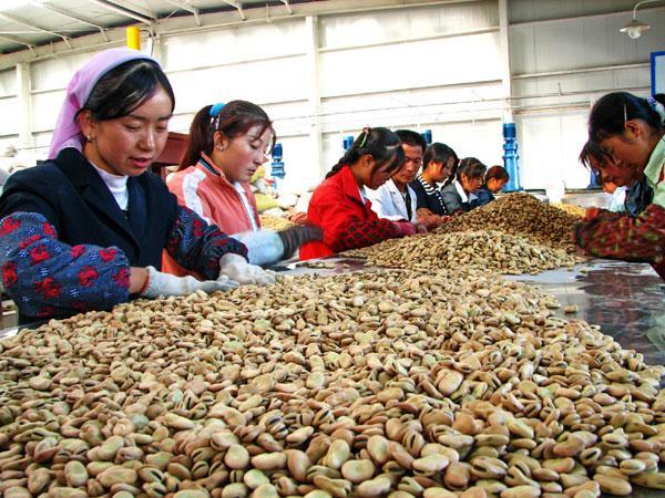 成本小收入高！适合城乡创业的10个致富项目