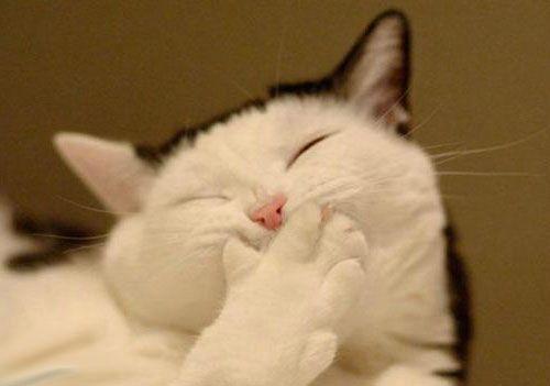 微信删除的好友怎么恢复？原来这么简单