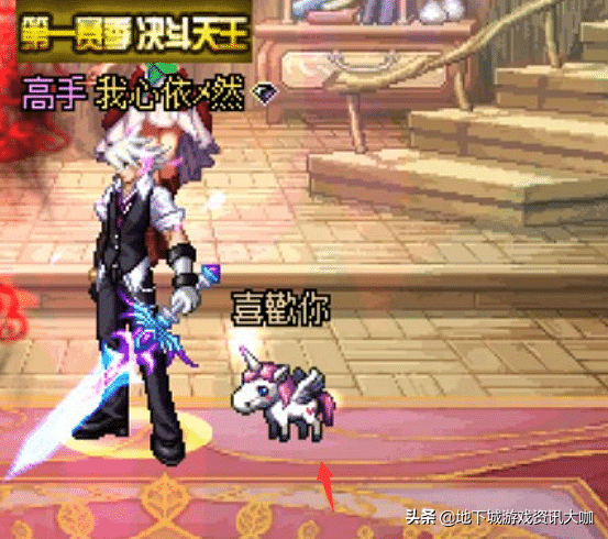 DNF：三种绝版珍稀宠物，能够同时拥有的玩家，大区都没有几个