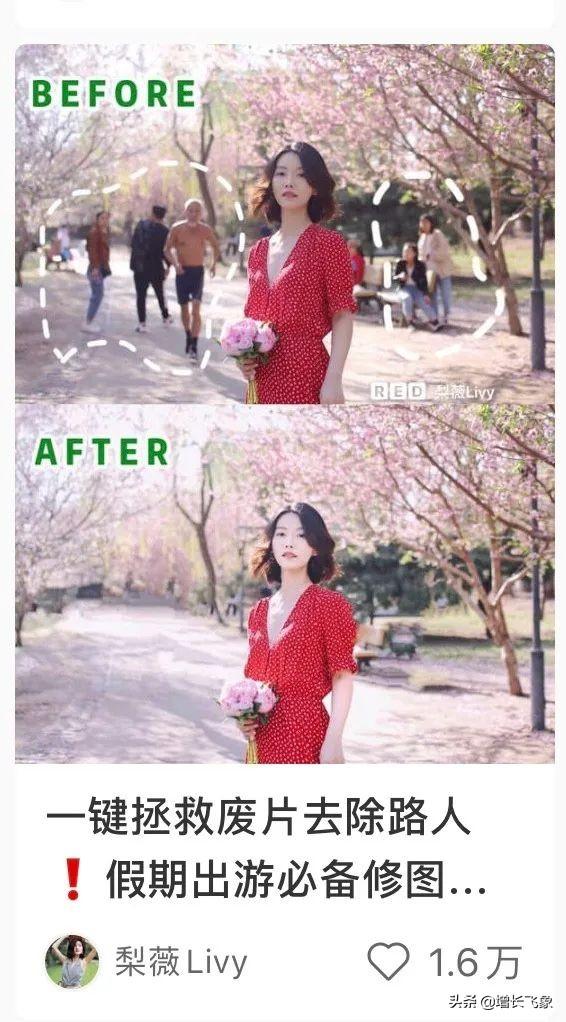 建议收藏，小红书引流获客最全攻略