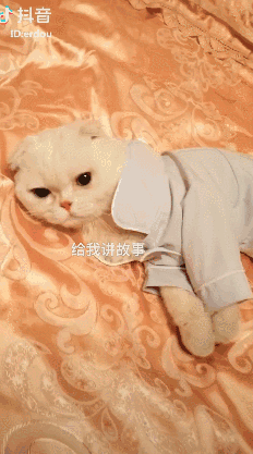 拍抖音不想真人出境？今天教大家怎么玩转虚拟IP！