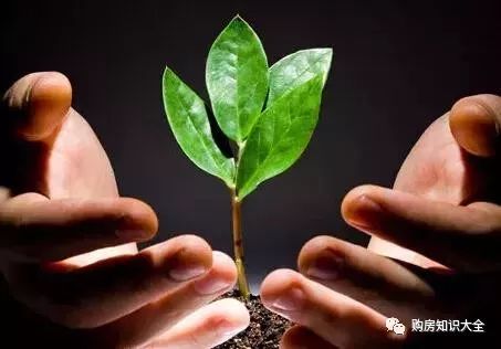 10个冷门创业项目，本小利大，知道的人还不多