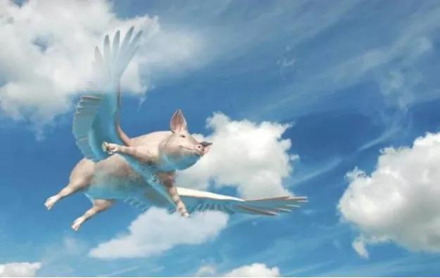 直播电商浪潮的下一个机会竟然是？|海豚谈直播