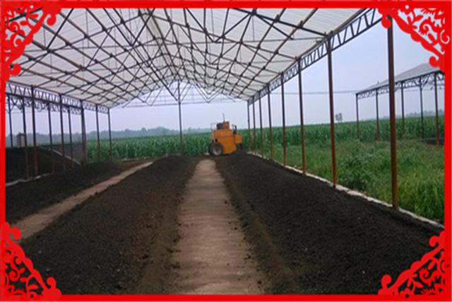 在农村一年收入20万，这样的项目现在还有哪些？推荐几个供参考