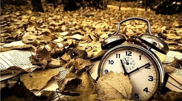 大学生群体精准引流实操方案（含变现思路）