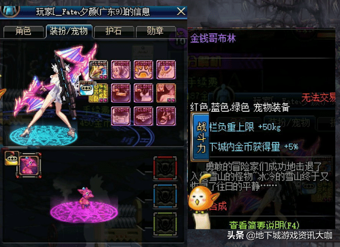 DNF：三种绝版珍稀宠物，能够同时拥有的玩家，大区都没有几个