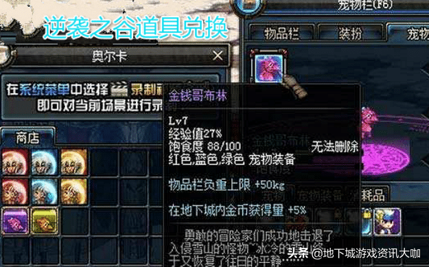 DNF：三种绝版珍稀宠物，能够同时拥有的玩家，大区都没有几个