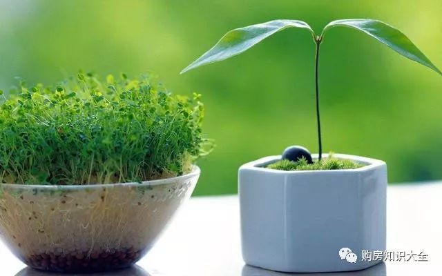 10个冷门创业项目，本小利大，知道的人还不多