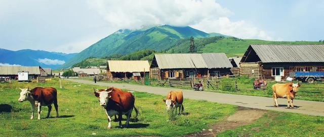 5个适合低成本创业的方向，看似冷门小生意，但市场需求旺盛