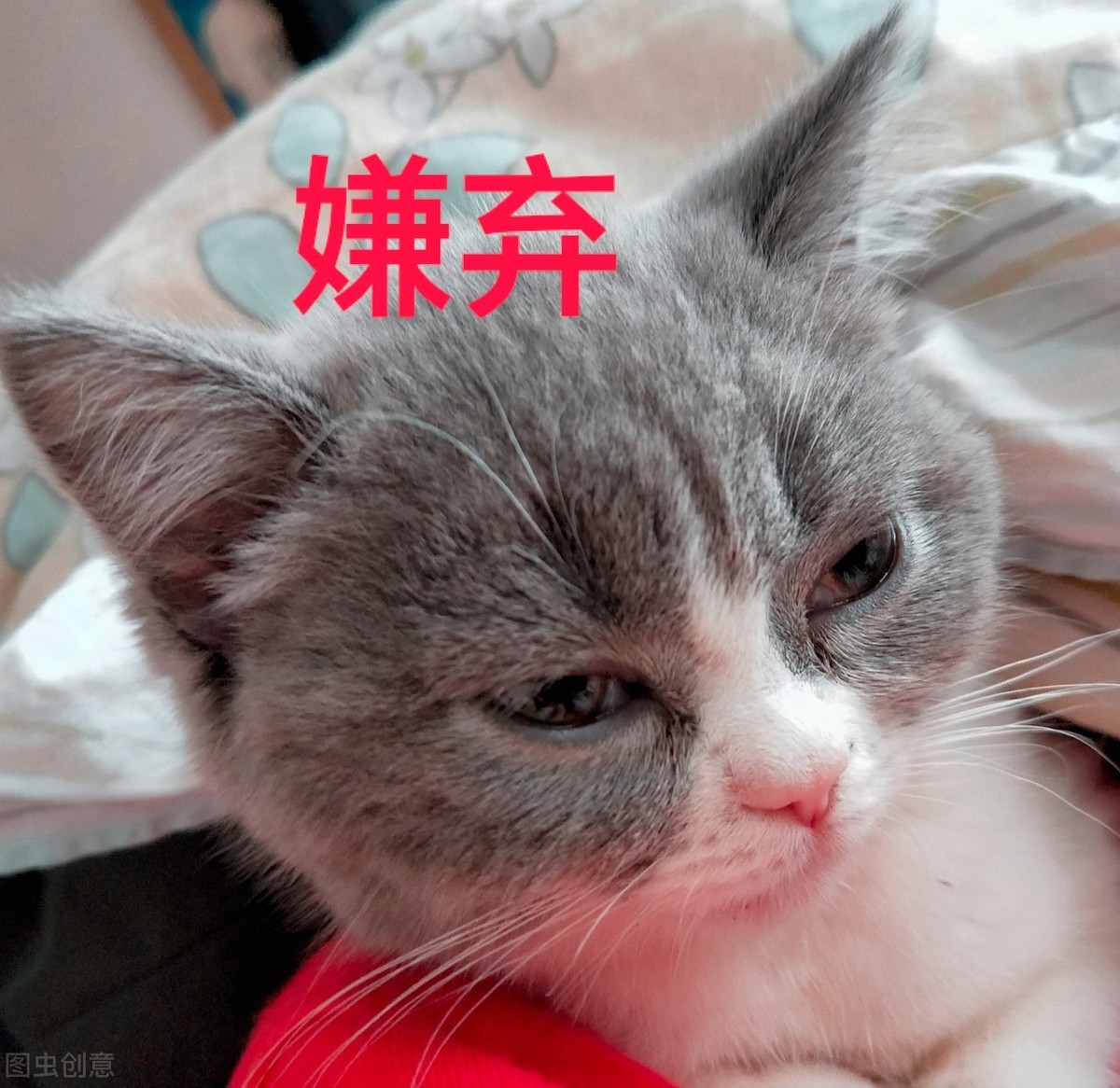 我总结了这60个快速挣钱的副业，总有一个适合你