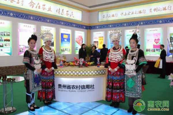 想在农村创业，可以申请哪些农业贷款？2020最新农业贷款政策解读