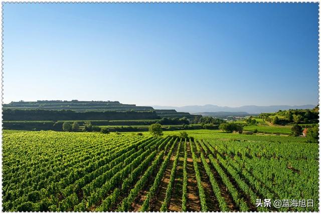 在农村创业，四五十岁了承包100亩地，怎样才能一年赚取80万呢？