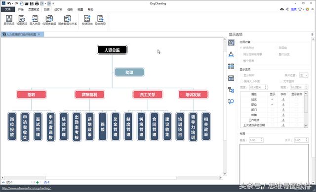 一个创业公司，应该如何做好组织架构？
