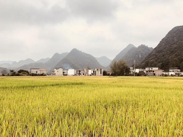 不打工一天损失好几百？农民朋友可考虑在家做这些工作，不少挣钱