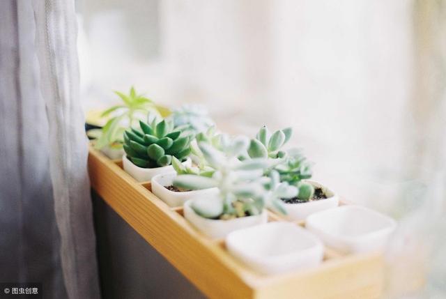 干货｜大学生空余时间如何利用互联网赚钱？