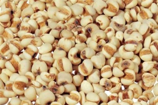 农村种植哪几种药材能够挣钱？这几种前景不错，农民种过几种？