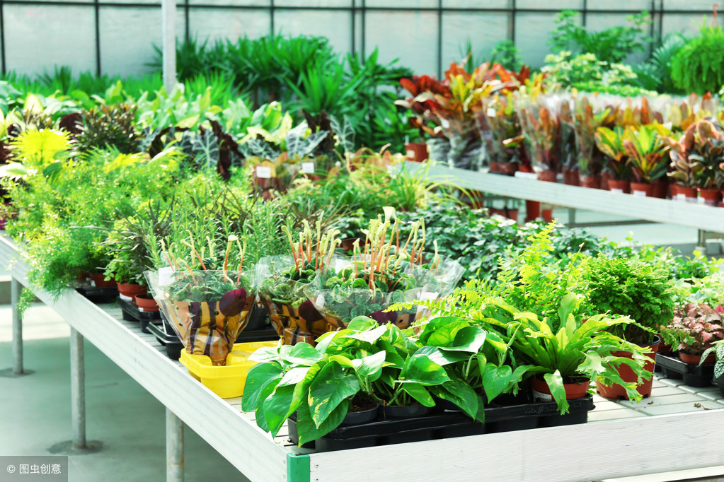 哇喔，2019年火爆小本创业项目出炉了！