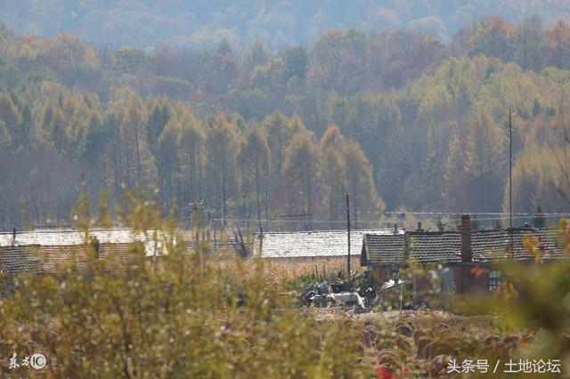 今年最有赚钱潜力的6个农村创业项目，现在入手还来得及