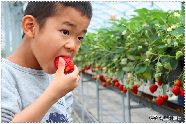 一个40多岁的人第一次创业，在农村做什么合适？没有最好只有更好