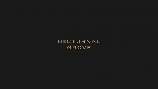 40款品牌LOGO设计集锦