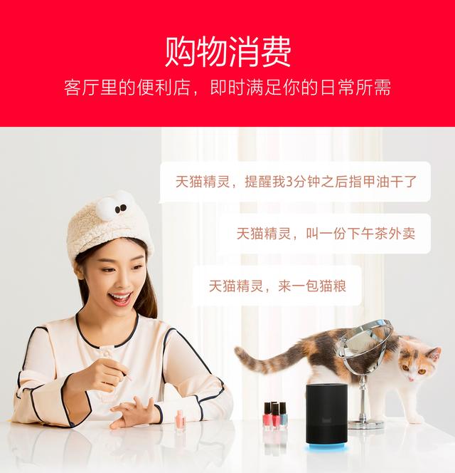 天猫精灵，都有些什么功能？