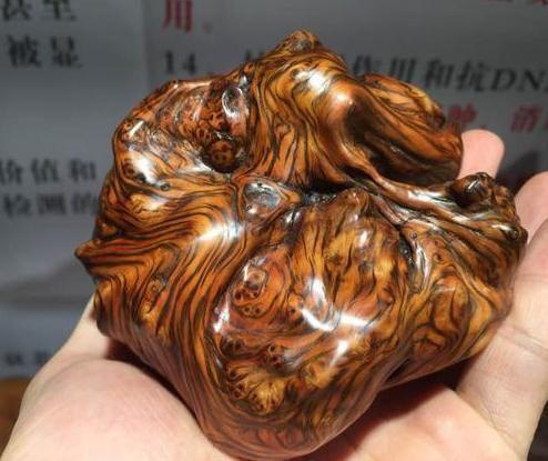 干货，不用投资，在家玩玩就可赚钱的项目