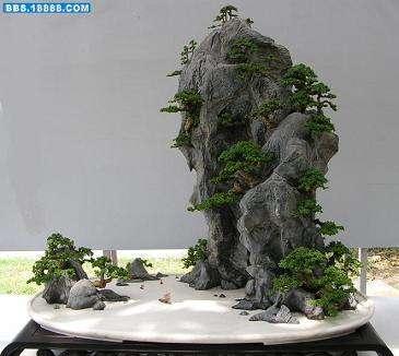 干货，不用投资，在家玩玩就可赚钱的项目