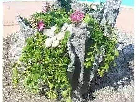 干货，不用投资，在家玩玩就可赚钱的项目