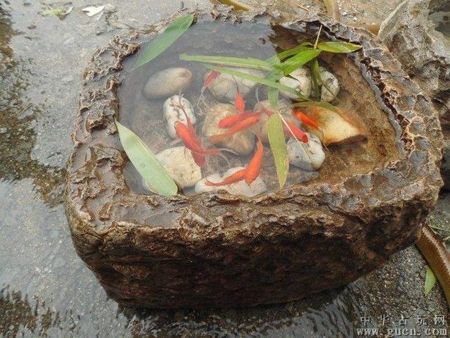 干货，不用投资，在家玩玩就可赚钱的项目