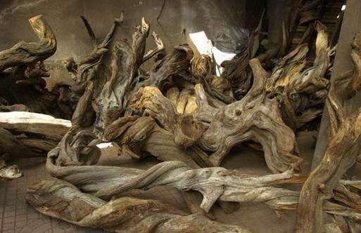 干货，不用投资，在家玩玩就可赚钱的项目