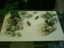 干货，不用投资，在家玩玩就可赚钱的项目