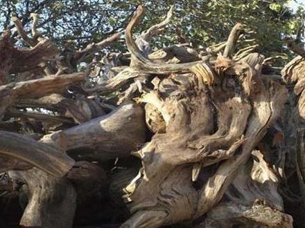 干货，不用投资，在家玩玩就可赚钱的项目