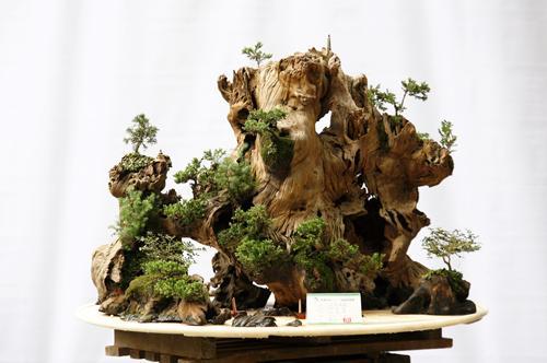 干货，不用投资，在家玩玩就可赚钱的项目