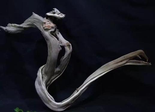 干货，不用投资，在家玩玩就可赚钱的项目