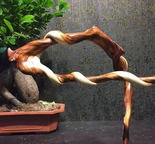 干货，不用投资，在家玩玩就可赚钱的项目