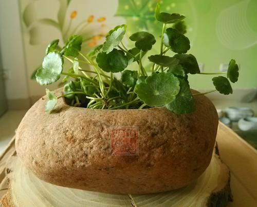 干货，不用投资，在家玩玩就可赚钱的项目