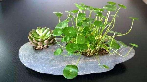 干货，不用投资，在家玩玩就可赚钱的项目