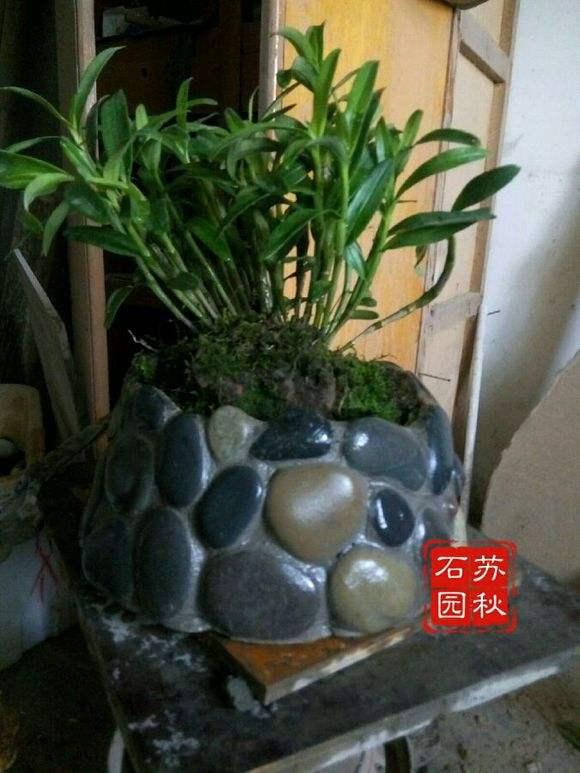 干货，不用投资，在家玩玩就可赚钱的项目