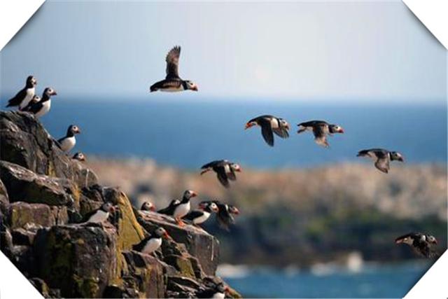 现在市场上有哪些小本钱投入，做起来能养家糊口的小生意？这几个