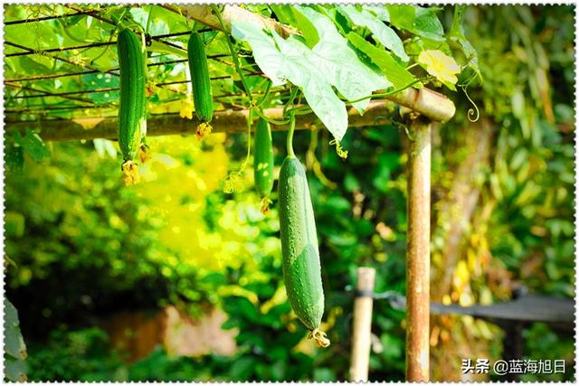 一个40多岁的人第一次创业，在农村做什么合适？没有最好只有更好